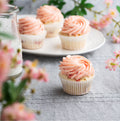 Strawberry Cupcake