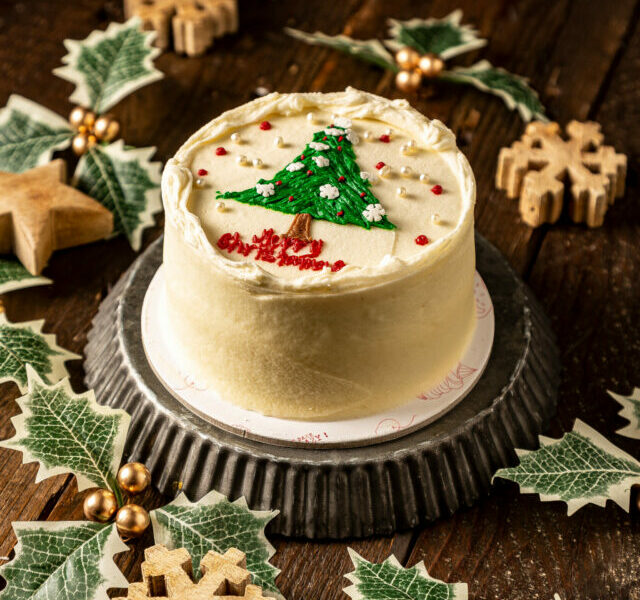 Christmas Minimalist Cake 4